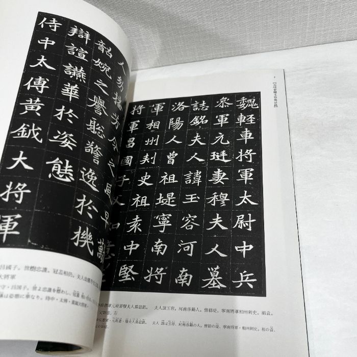 二玄社 北魏 ほか 中国法書選 26 墓誌銘集 下 北魏 隋 中国書道 二玄社 - メルカリ