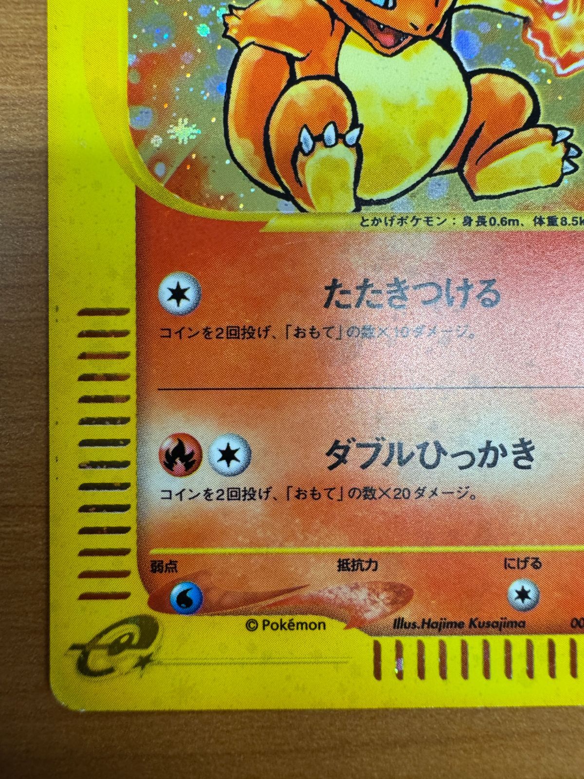 ホロ 004|018