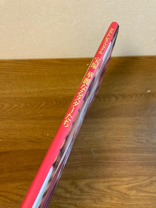 宝塚華麗なるスターたち (ソワレ・ブックス アクトレス・ファイル