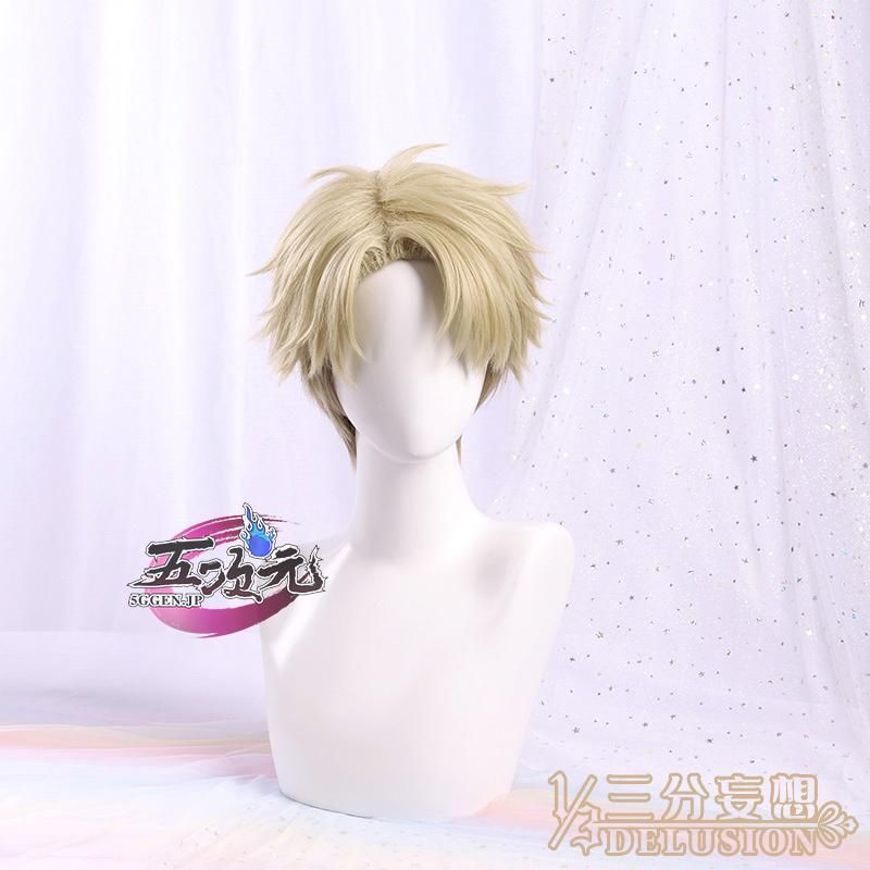 コスプレ衣装 ウィッグ