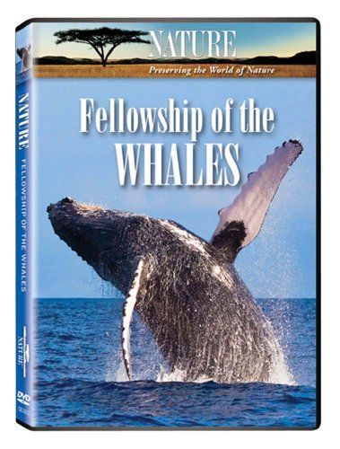 【中古】 Nature： Fellowship of the Whales DVD DVD 【】Nature: Fellowship of the Whales [DVD]