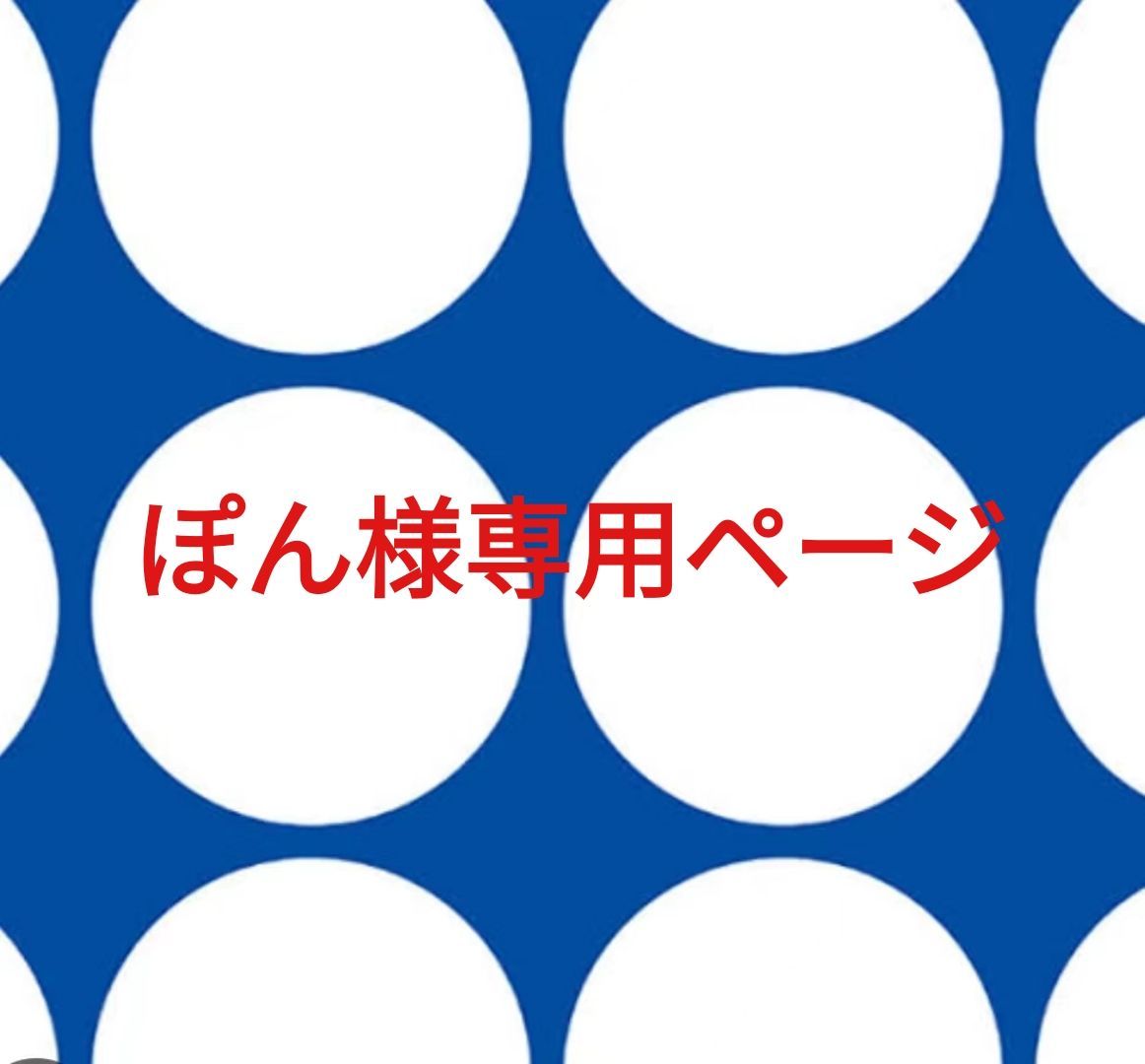 ぽん様専用 ぽん様専用です₊⁎⁺˳ ぽん様専用 ぽん。様