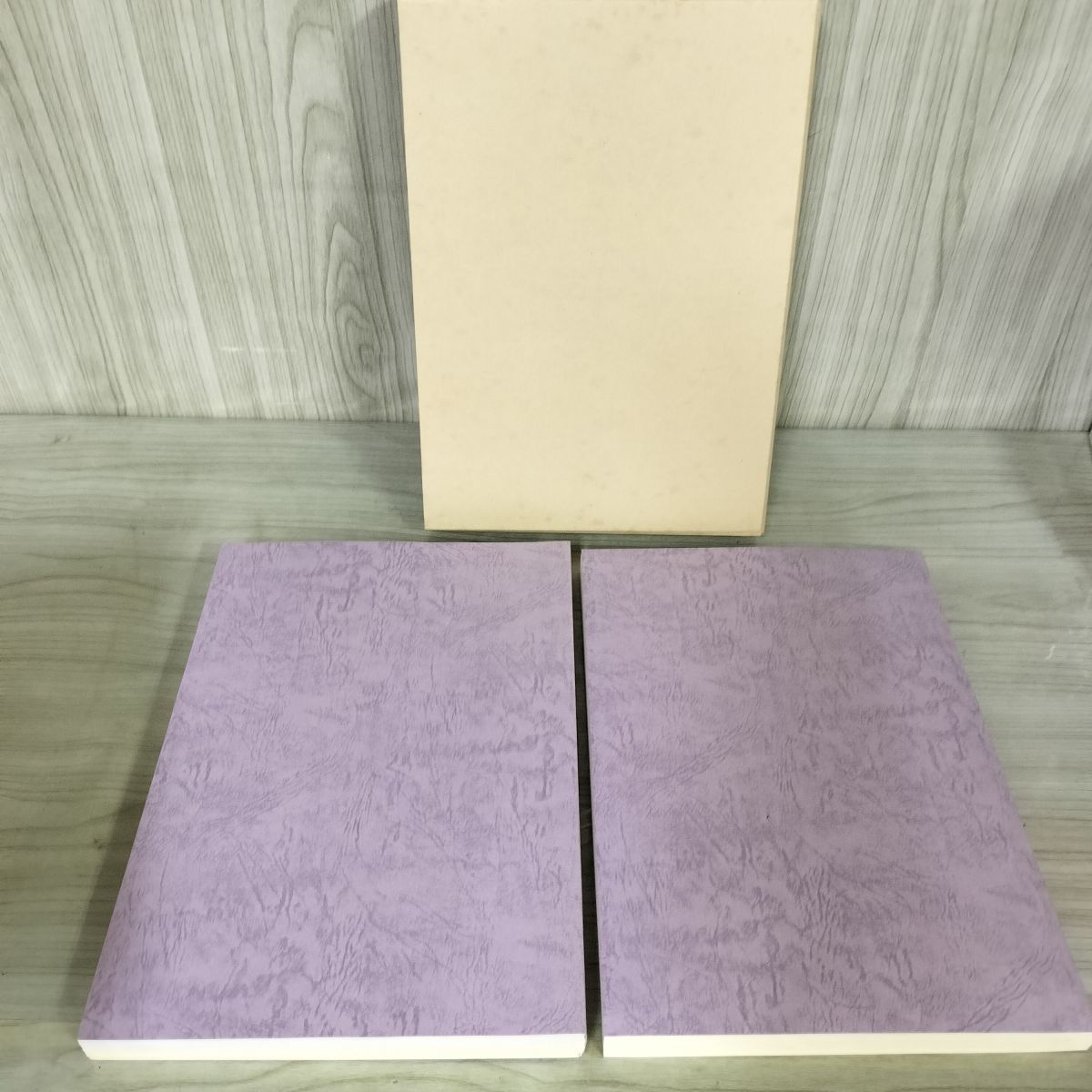 押出遺跡発掘調査報告書(本文編)(図版・表・分析編) 奈良文化財研究所発掘調査報告2024』の刊行について | NEWSCAST