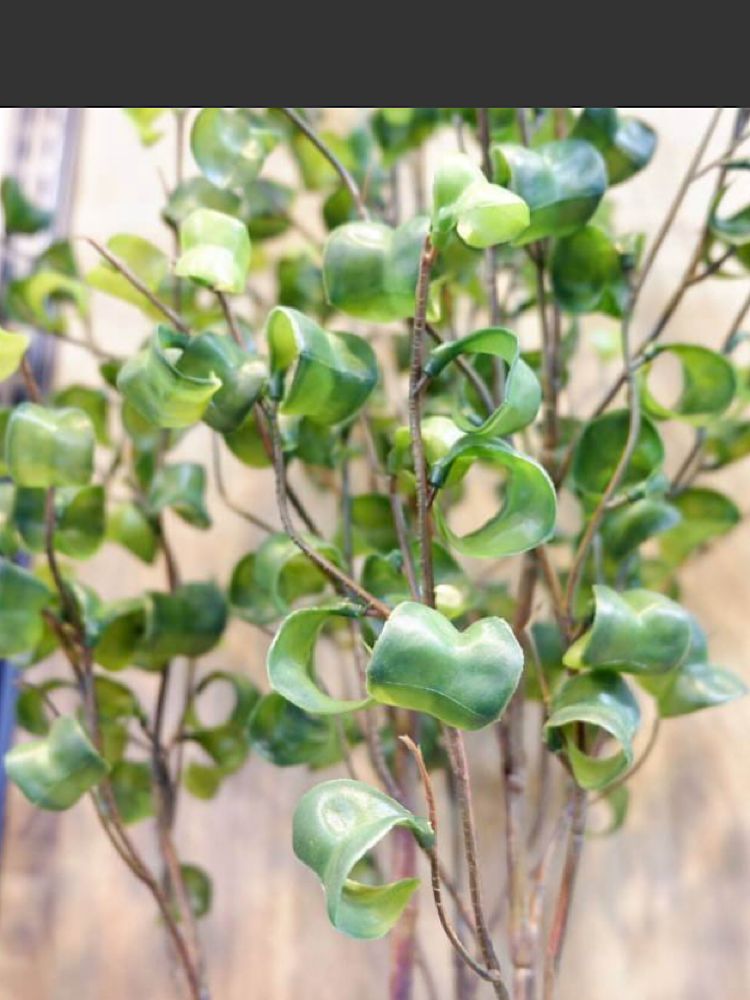 光触媒 人工観葉植物 ウォールグリーン フェイクグリーン 高品質