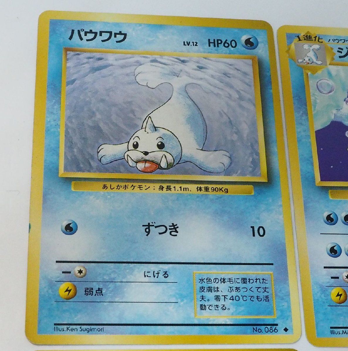 旧裏ポケモンカード水ポケモン13枚セット