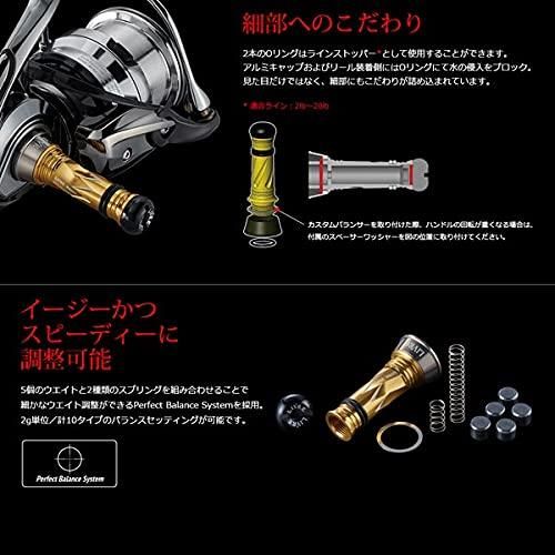LIVRE リブレ カスタムバランサー タイプ2 シマノ ダイワ C1