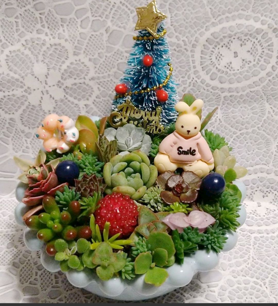 多肉植物☆寄せ植え☆そのまま飾れる☆クリスマスツリー＆ウサギさん