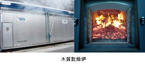 桧