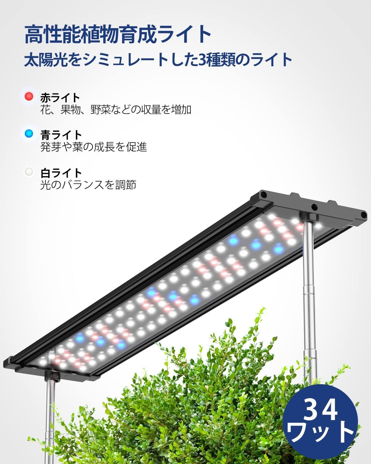 人気商品】室内 植物育成LEDライト付き 水耕栽培 すいこう栽培キット