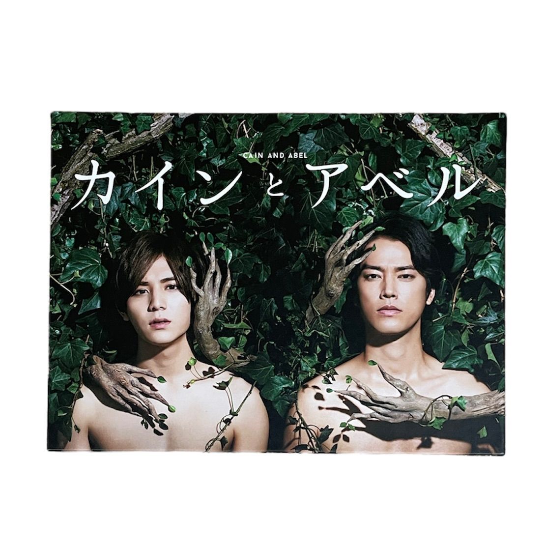 カインとアベル DVD Amazon.co.jp: カインとアベル DVD-BOX1 : ソ・ジソブ, シン