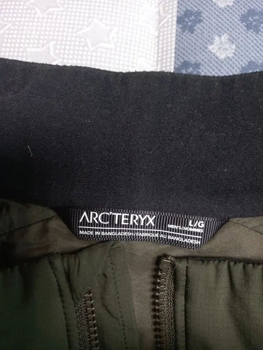 LT ノンフーディ