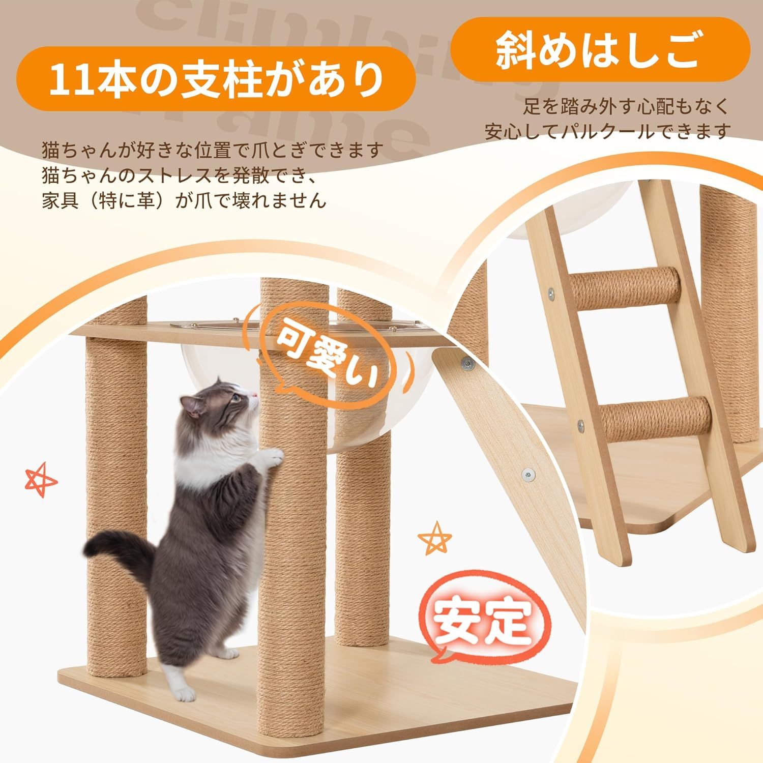 高さ155cm