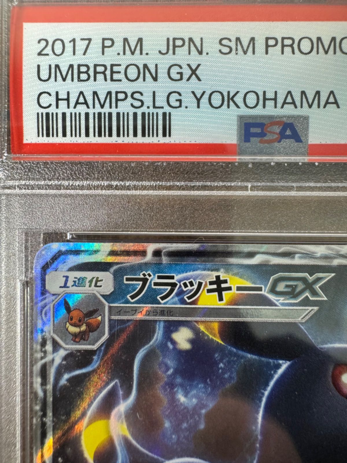 PSA 10 ブラッキー GX 125/SM-P プロモ チャンピオンズリーグ 2018 