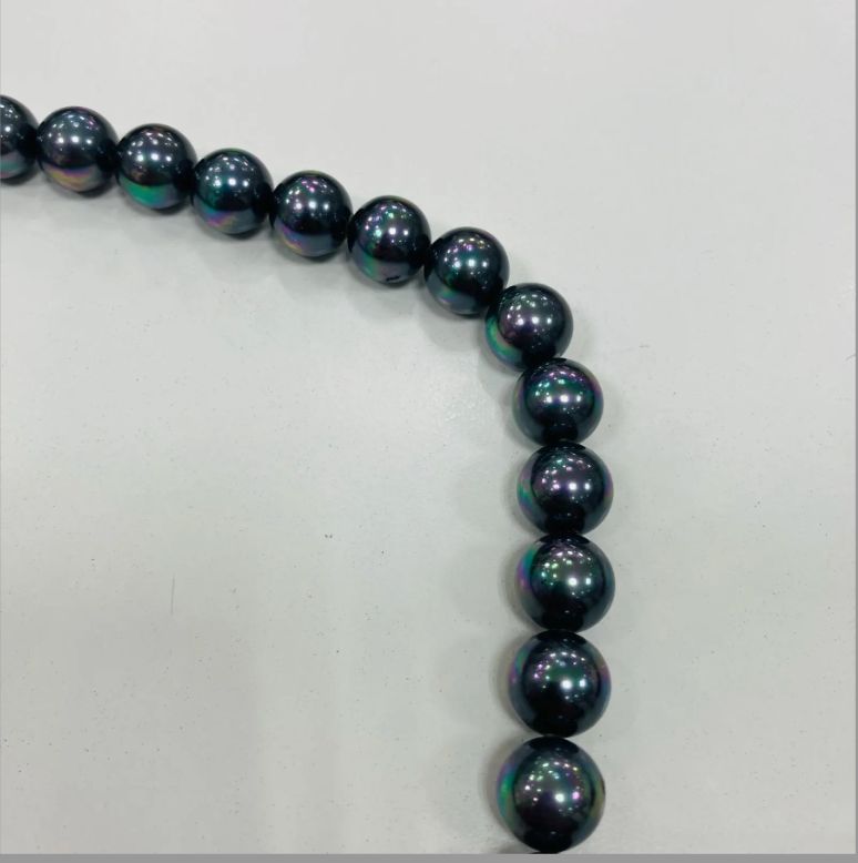 黒真珠