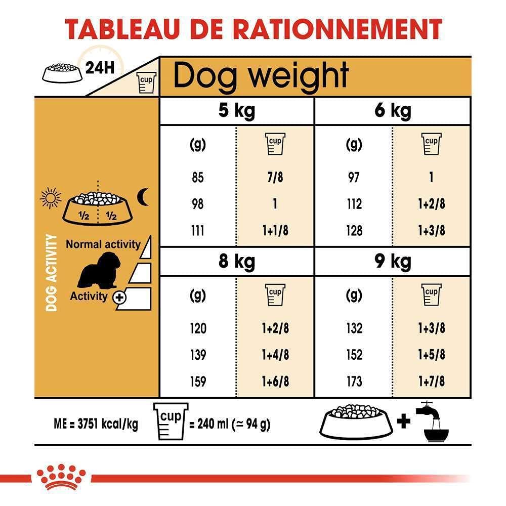 高齢犬用