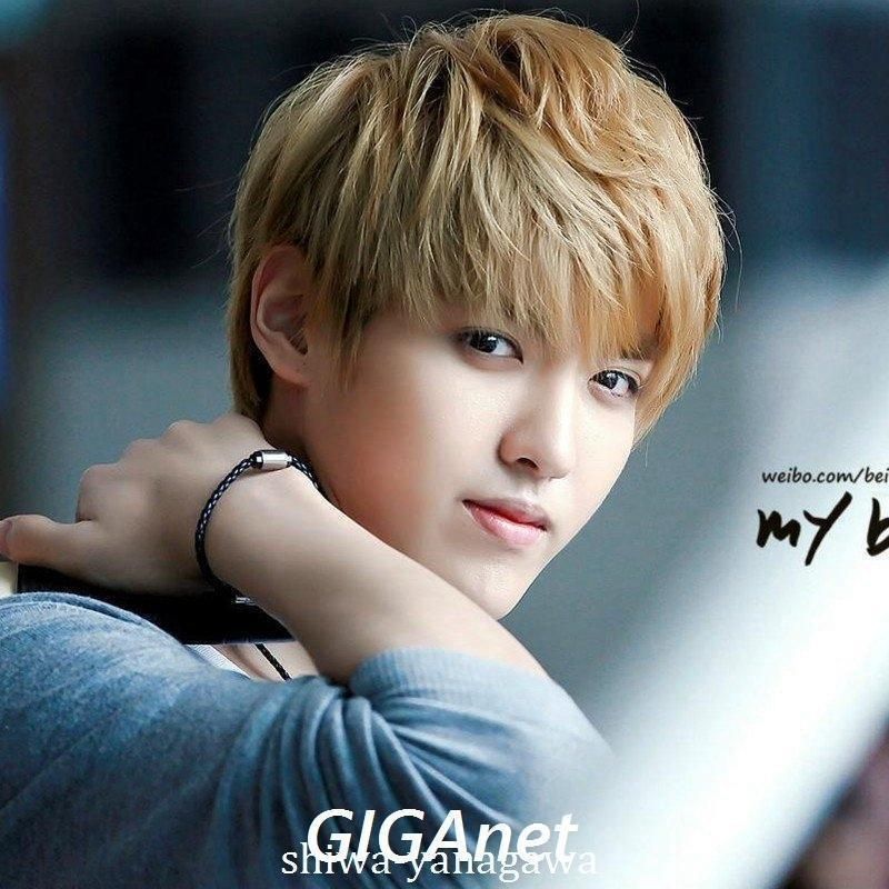 大得価，人気 ウィッグ 男性用 かつら メンズ ウィッグ ショート 安い 人毛 フルウィッグ 専用ネット付 4色選択可 zz010432044c49 その他