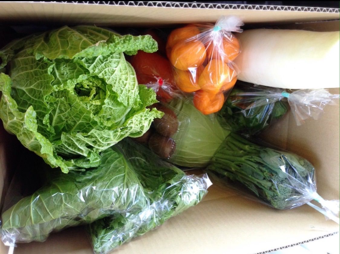 新鮮 野菜