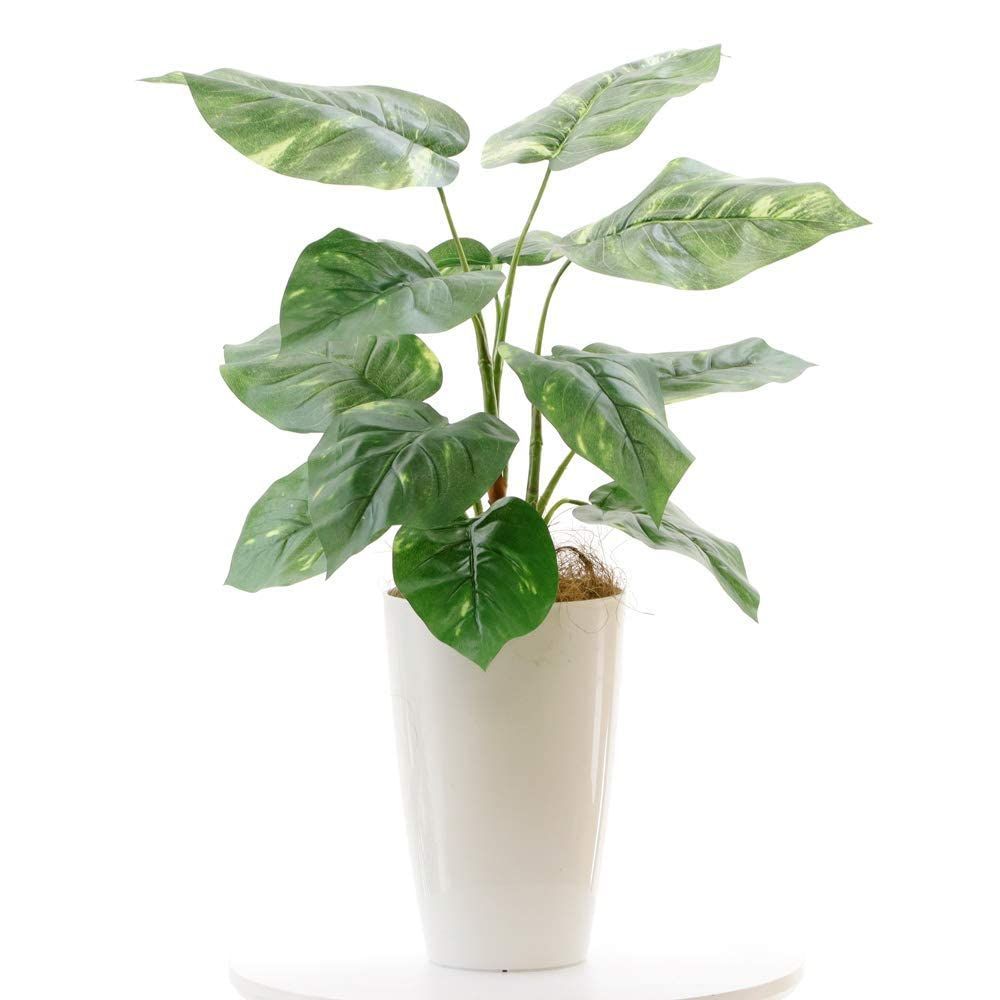 新着商品 造花 人工 観葉植物 造花ドットコム 光触媒 ポトス 葉12枚 高さ60cm 幅50cm 奥行45cm 白丸ポットとヤシの繊維付 鉢は取り外し不可 フェイクグリーン インテリア 屋内 リビング オフィス 93691