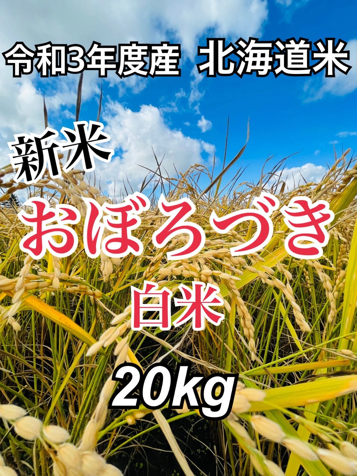 最安値で 令和4年産 北海道米 おぼろづき 20キロ 一等米 農園直送