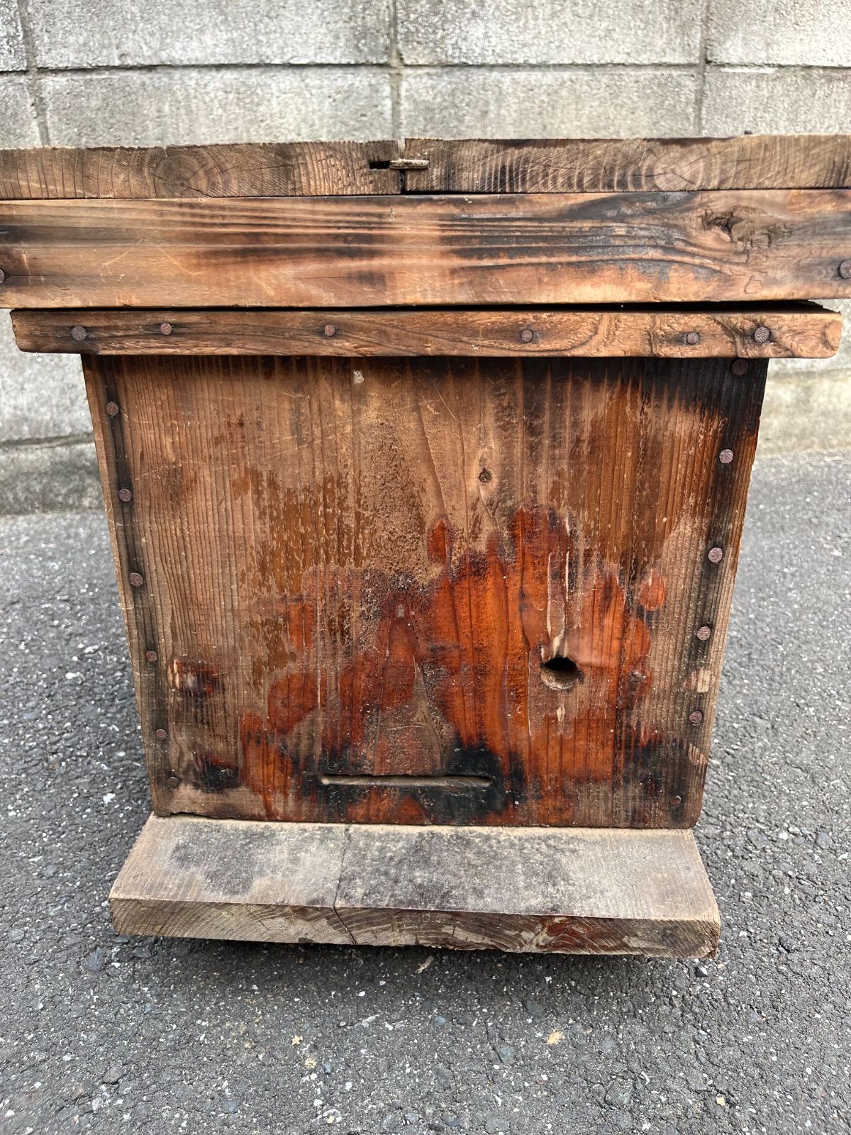 日本蜜蜂 待ち箱 2個セット 入居実績あり フォローで15%オフ