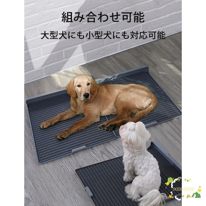 トレーニング用品 オス