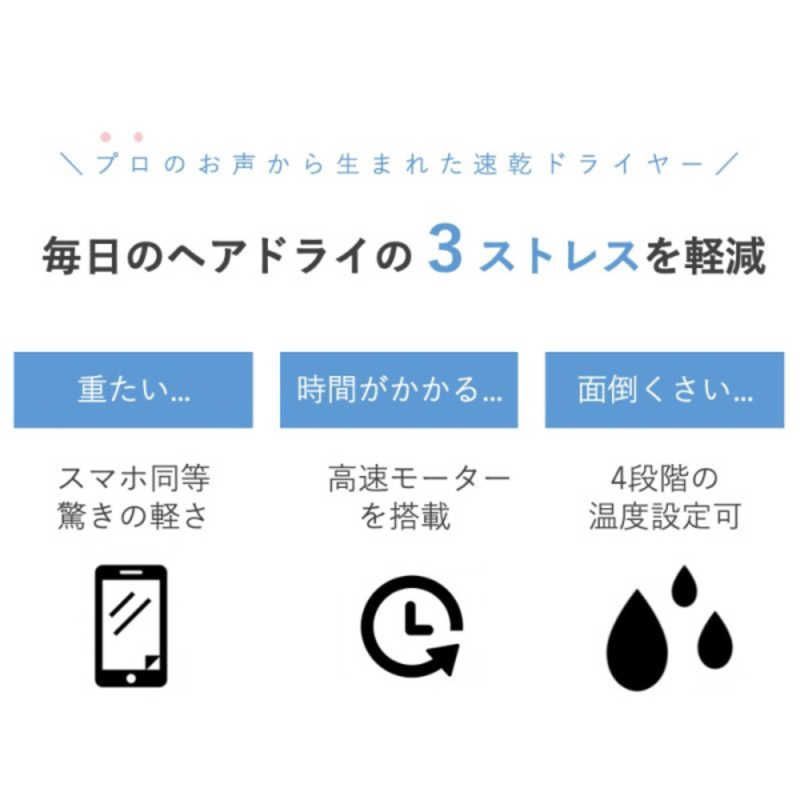 ＮＥＸＴＩＮＮＯＶＡＴＩＯＮ ハイパワードライヤー