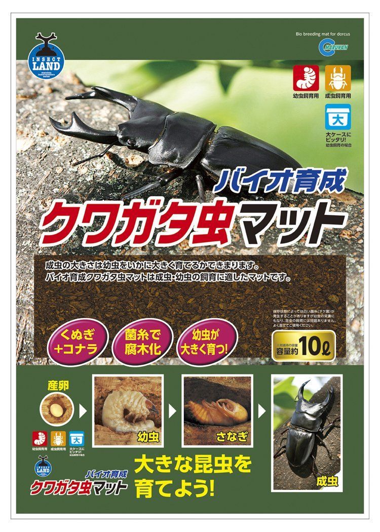 クワガタ・カブトムシ・成虫・幼虫・飼育用品 - 北海道のその他