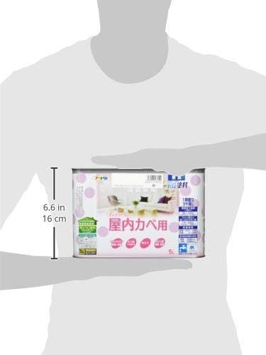 5L