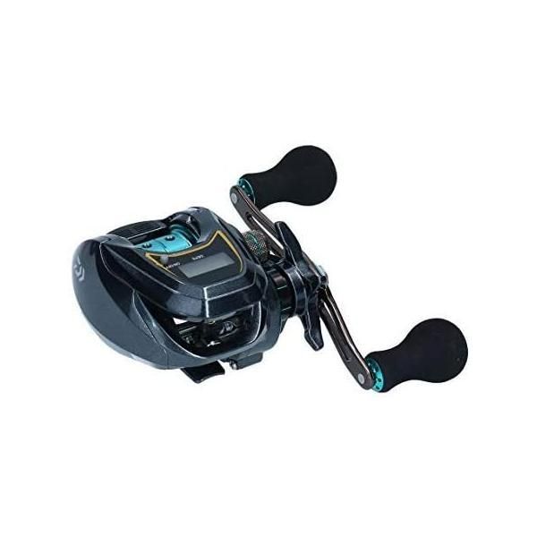 ダイワ(DAIWA) 小売 カウンター付ベイトリール LIGHT SW X IC SS (右