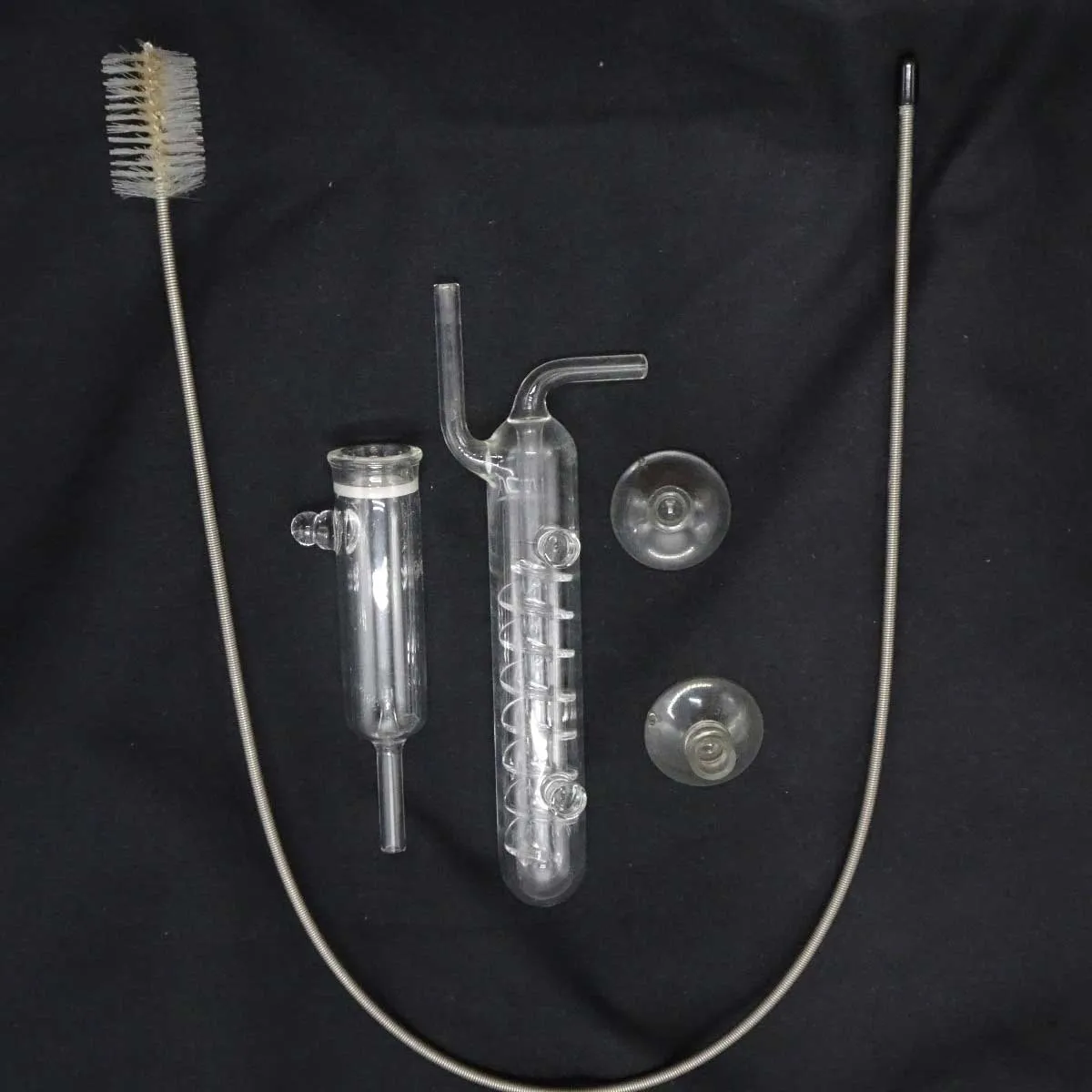 2025年最新】ADA パレングラス ビートルの人気アイテム