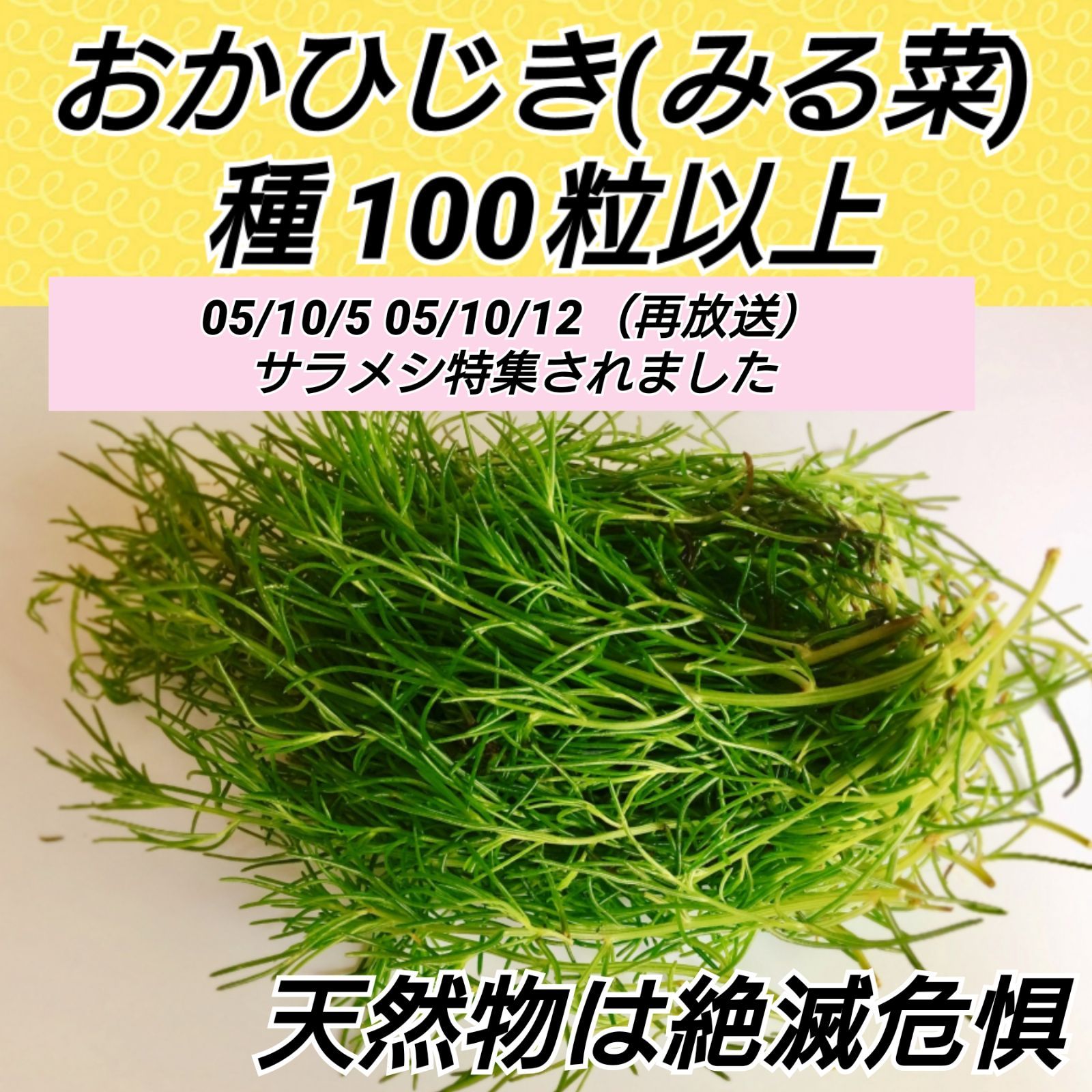 おかひじき 種100粒以上