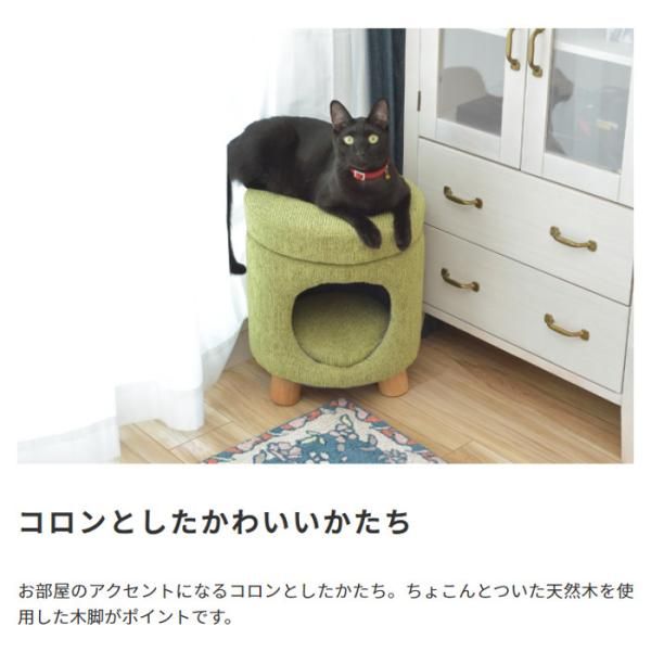 ねこ ネコ