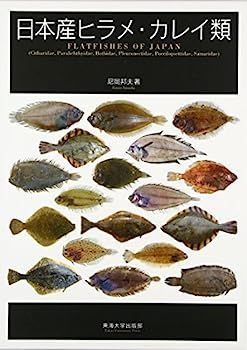 【中古】日本産ヒラメ・カレイ類