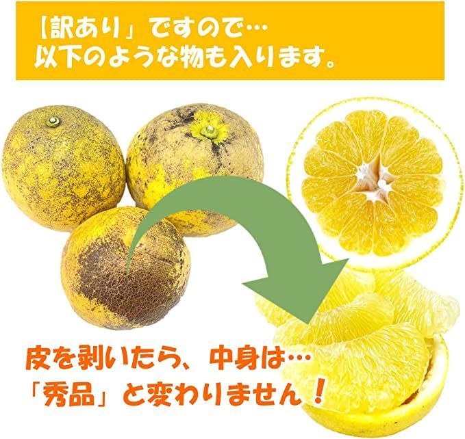 【訳あり】河内晩柑　みしょうゴールド　１５ｋｇ　※東北地方の方は、必ず注文する前に説明文を読んでいただきご理解されてからの購入をお願いいたします。