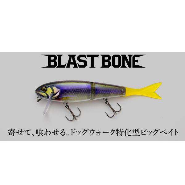 ジャッカル ブラストボーンJr.SF ナチュラルオイカワ - メルカリ