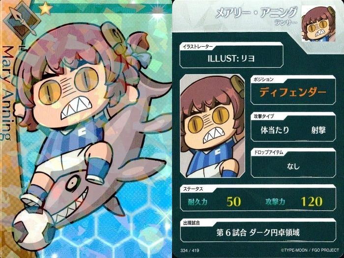 FGO ドリームストライカー　サッカーカード　まとめ売り　専用ファイル付き FGO フェス ドリームストライカー サッカーカード 宮本伊織