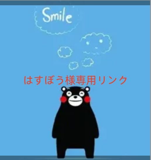 はすぼう様専用リンクu003c!-利用不可文字-!u003eiPhone14、iPhone14Pro D