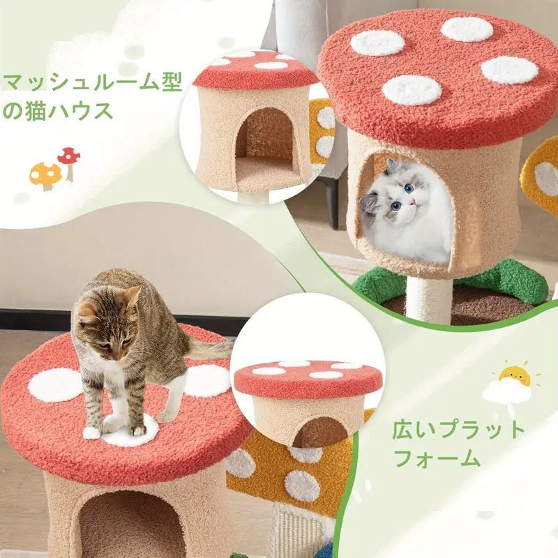 きのこ