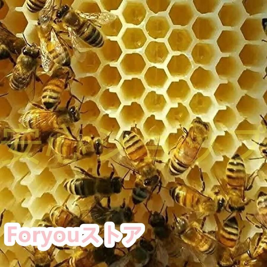 ミツバチ 巣箱 蜜蜂巣箱 4個 フローハイブ 蜂巣 巣脾 巣礎 巣枠 ミツバチ巣 自流蜜蜂巣 採蜜器 蜜蜂飼育 ミツバチ飼育 自動ハチミツ採取