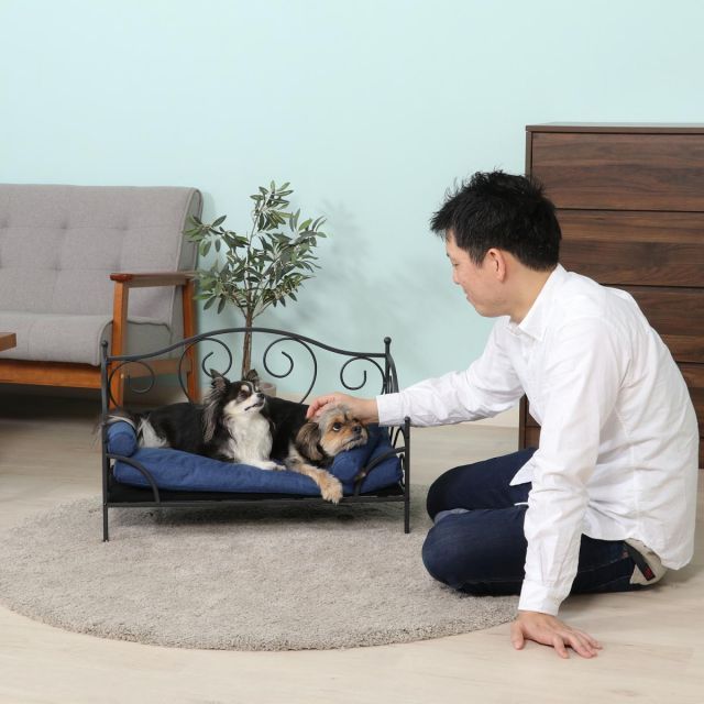 不二貿易 ペットデイベッド