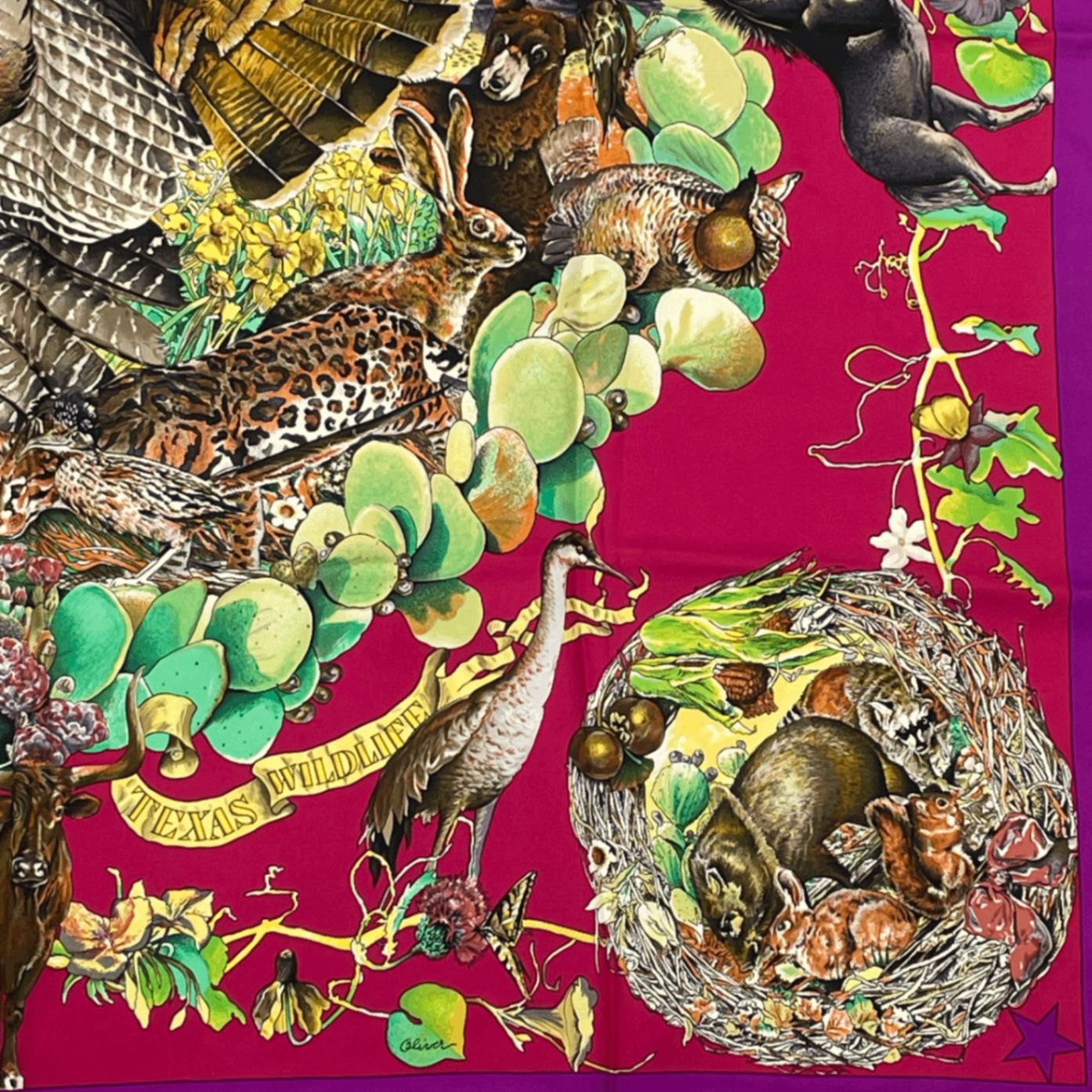 美品　HERMES エルメス シルクスカーフ カレ90 テキサス動植物図鑑 エルメス カレ90 FAUNE ET FLORE DU TEXAS TEXAS WILDLIFE