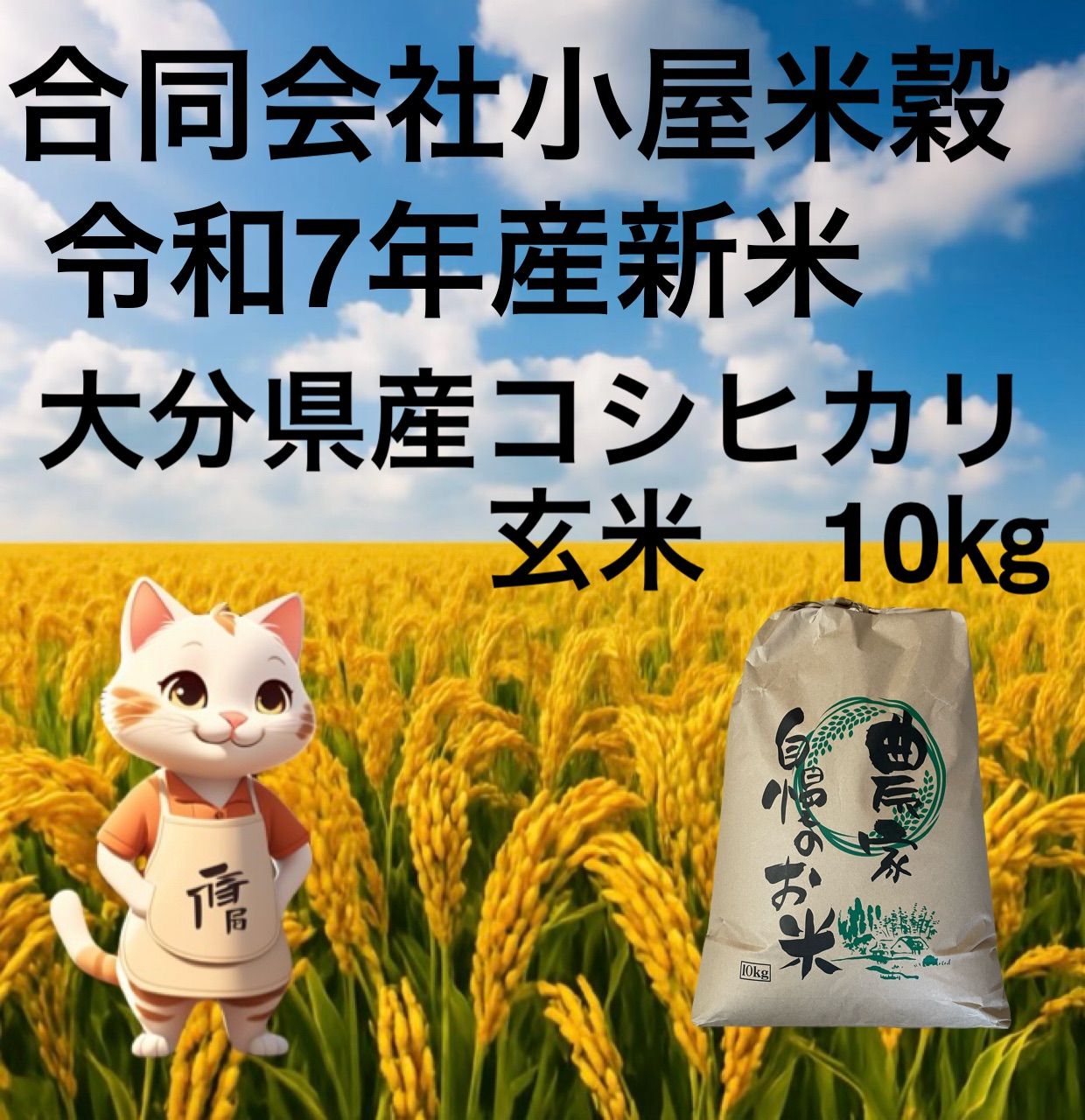 令和7年産 新米 大分県産コシヒカリ 玄米10㎏キロ お米10㎏ お米10キロ おこめ