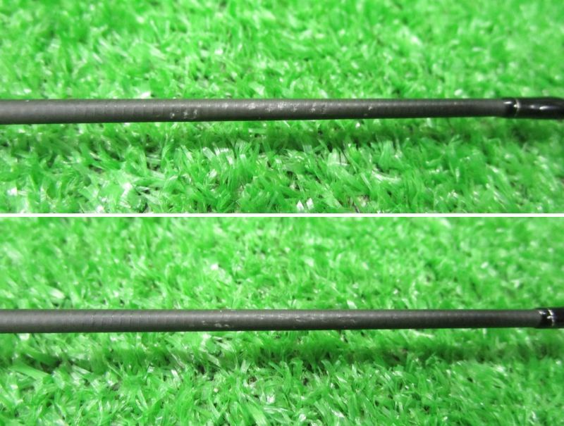 エバーグリーン