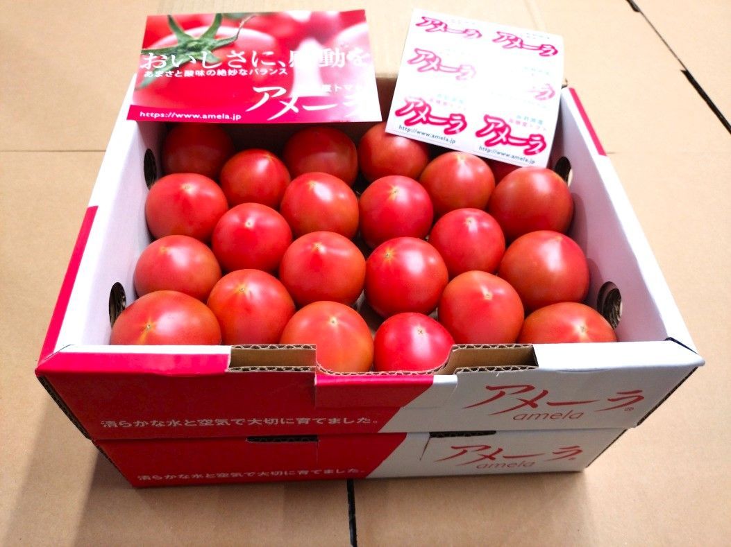 4ケース アメーラトマト 自信あります！ 高糖度 フルーツトマト 品質