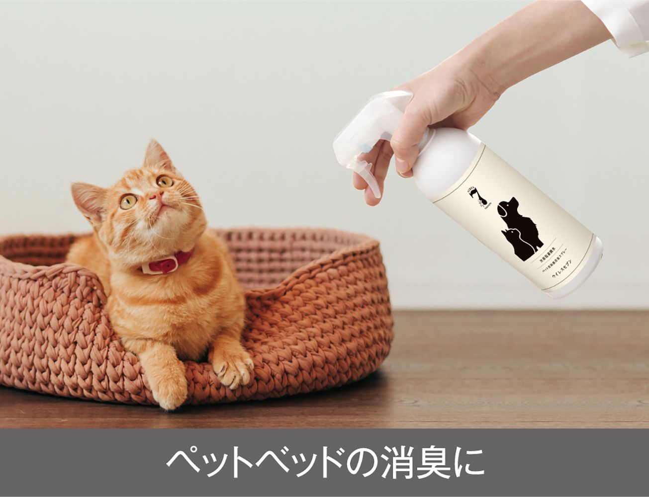 除菌・消臭・掃除グッズ ttttt Amazon.co.jp: ペット用品 除菌 消臭水 petotte(ぺっとって