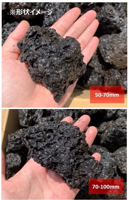 独特の上品 新品、未使用 高濾過 溶岩石 50-150㎜ 10キロ 水槽 ...