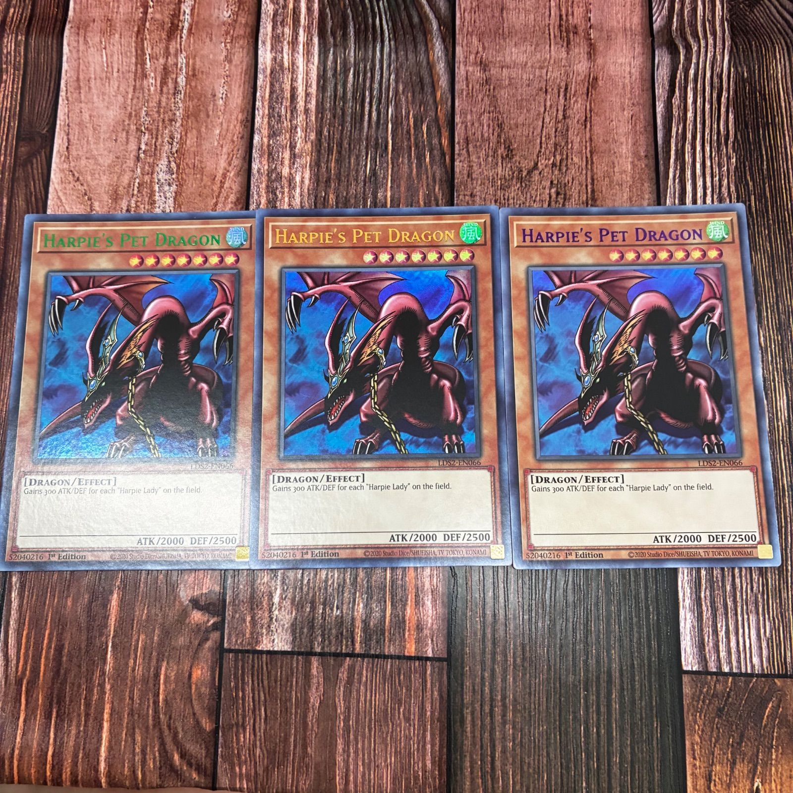 遊戯王 英語版 ハーピィズペット竜 カラフルウルトラレア 3枚