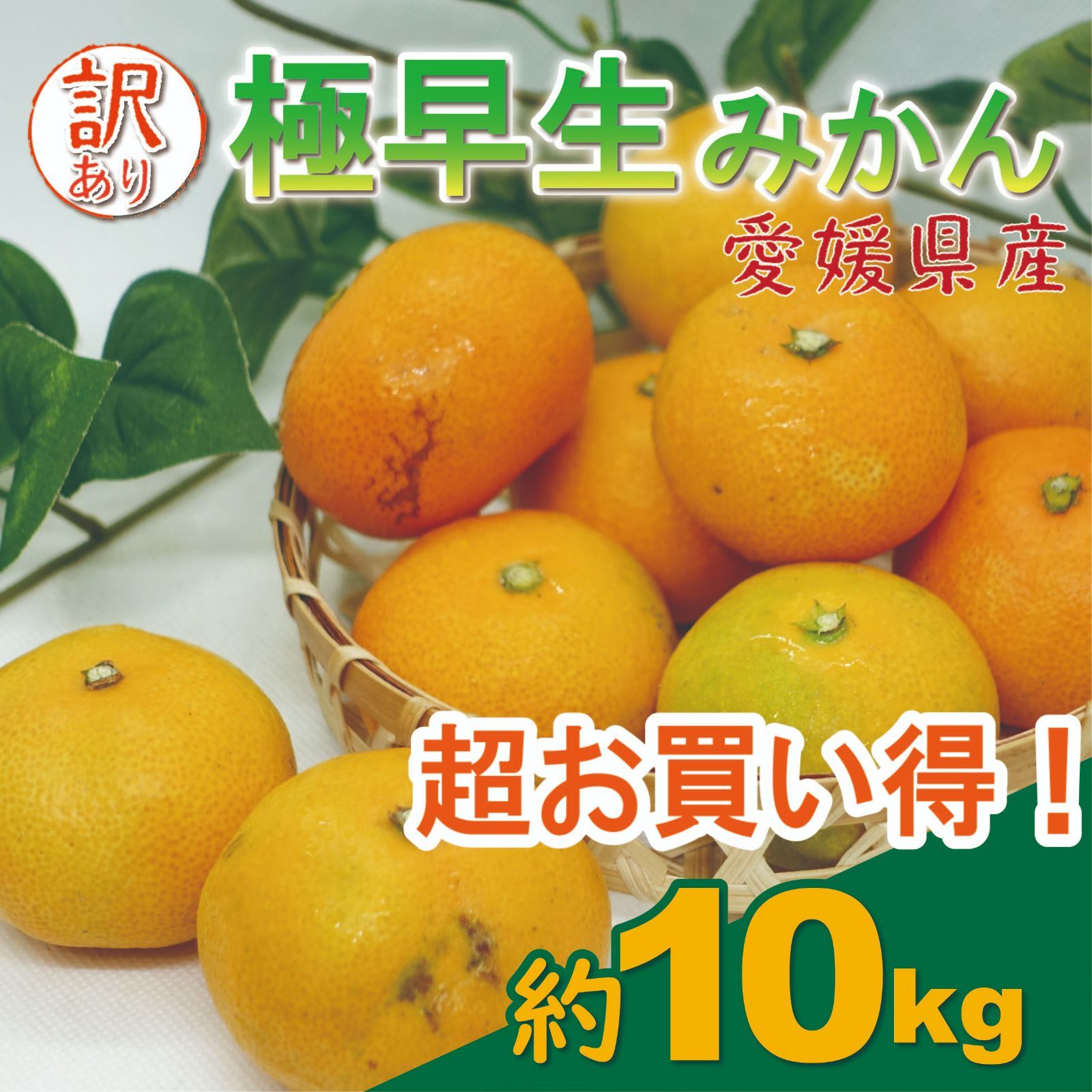 【超お買い得】愛媛県産　極早生みかん　１０ｋｇ補償有