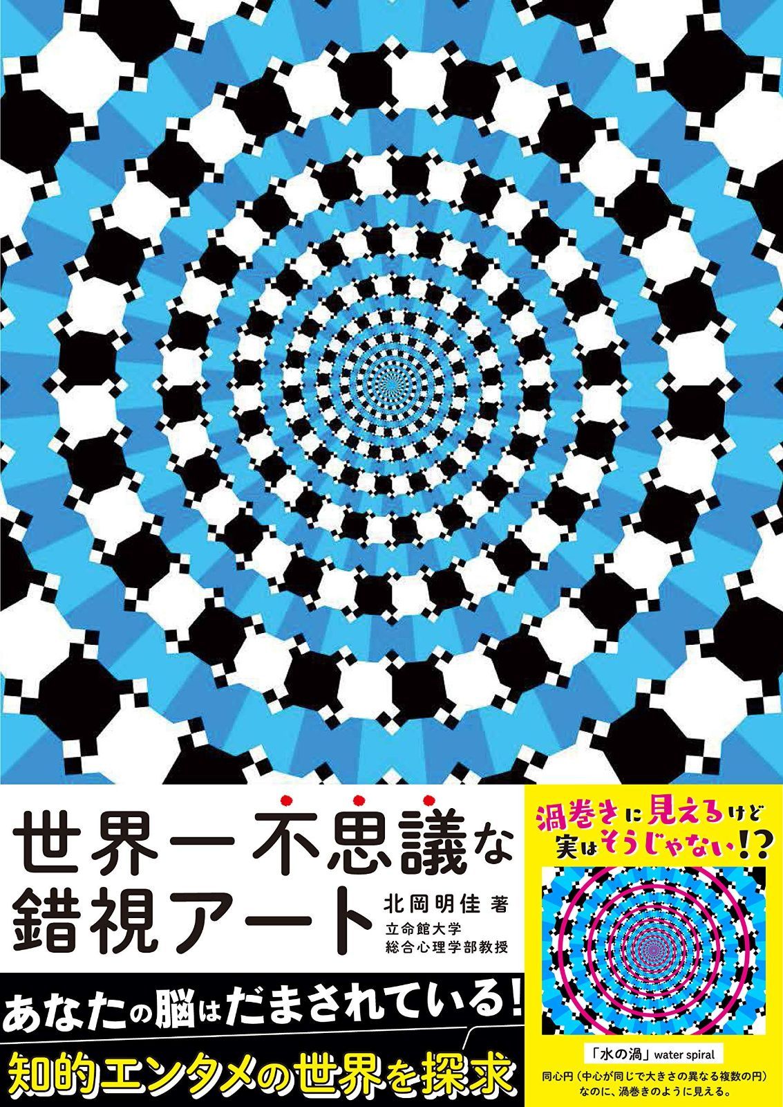 【人気SALE，お得】 世界一不思議な錯視アート その他