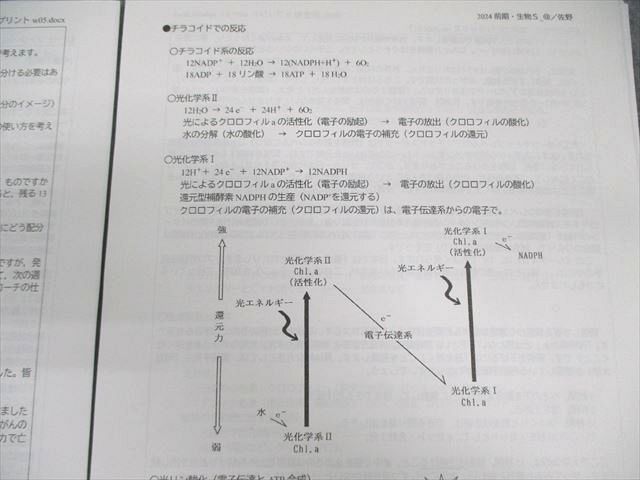 駿台 生物S Part1 テキスト通年セット 2024 計2冊 佐野芳史 030S0D 駿台 生物S Part1 テキスト通年セット 2024 計2冊 佐野芳史